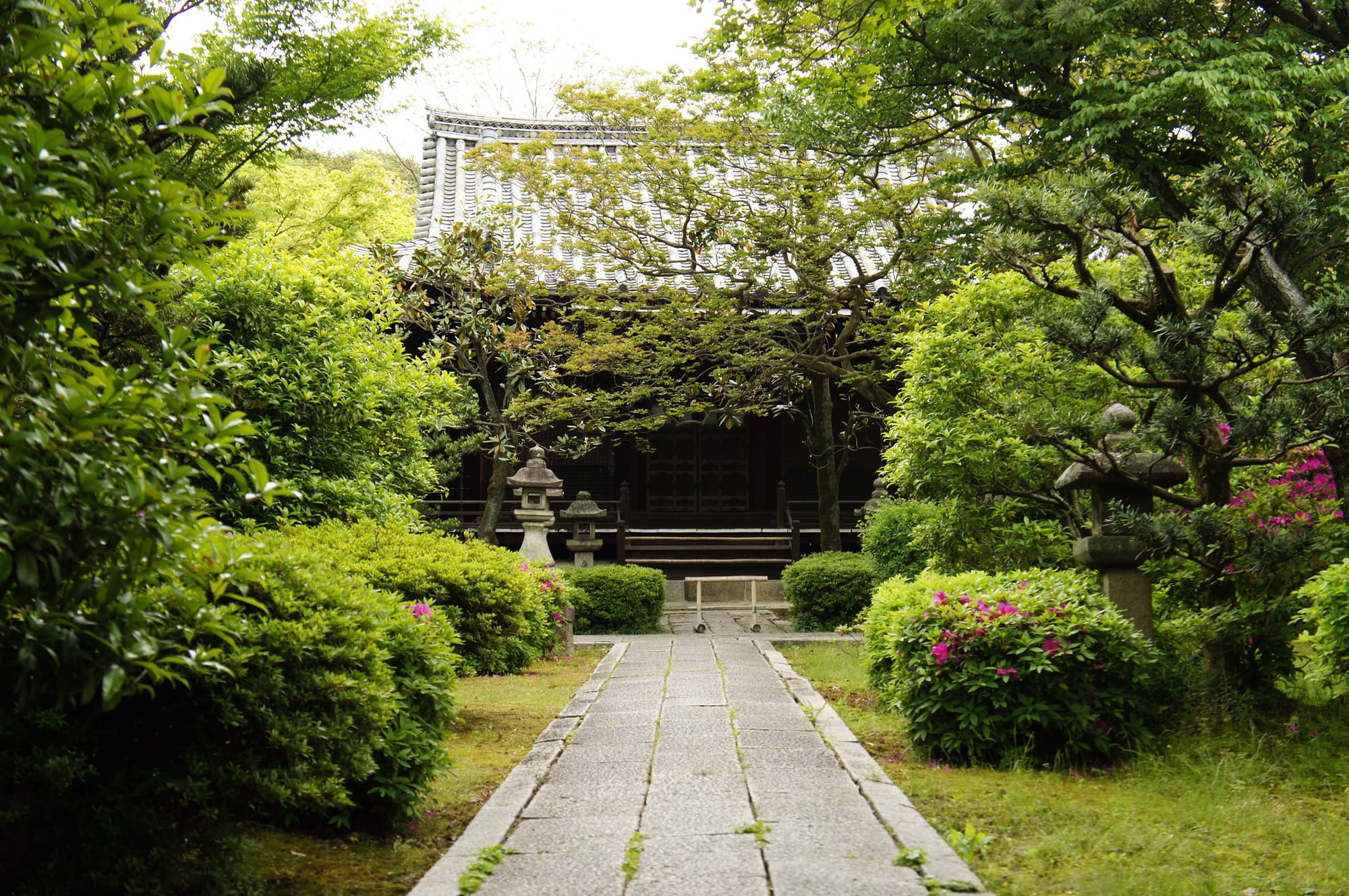 A trip to Kyoto