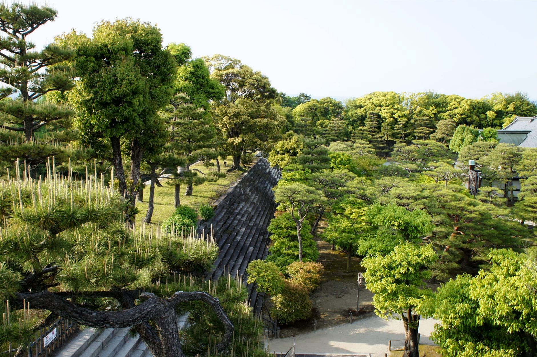 A trip to Kyoto
