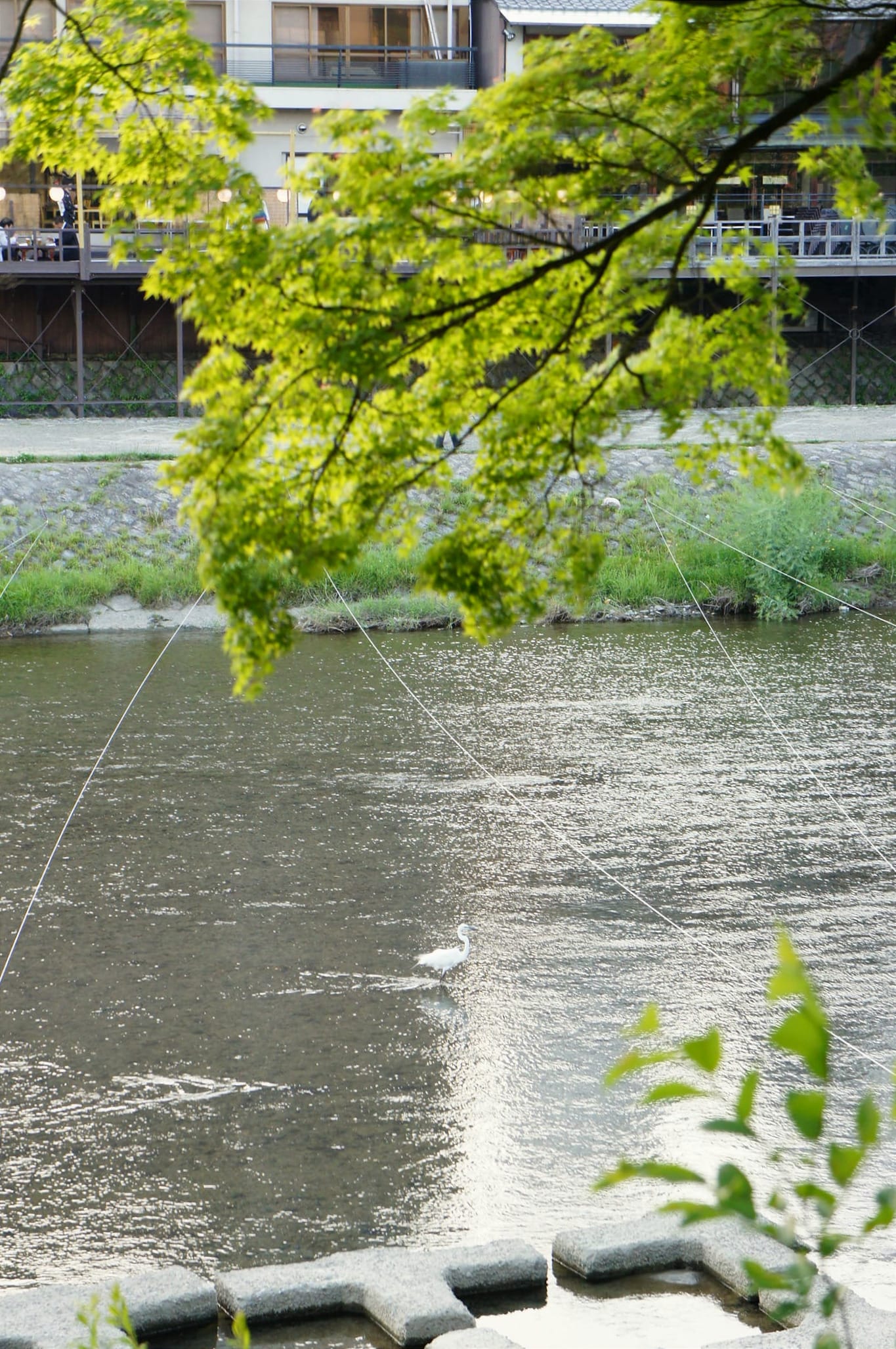 A trip to Kyoto