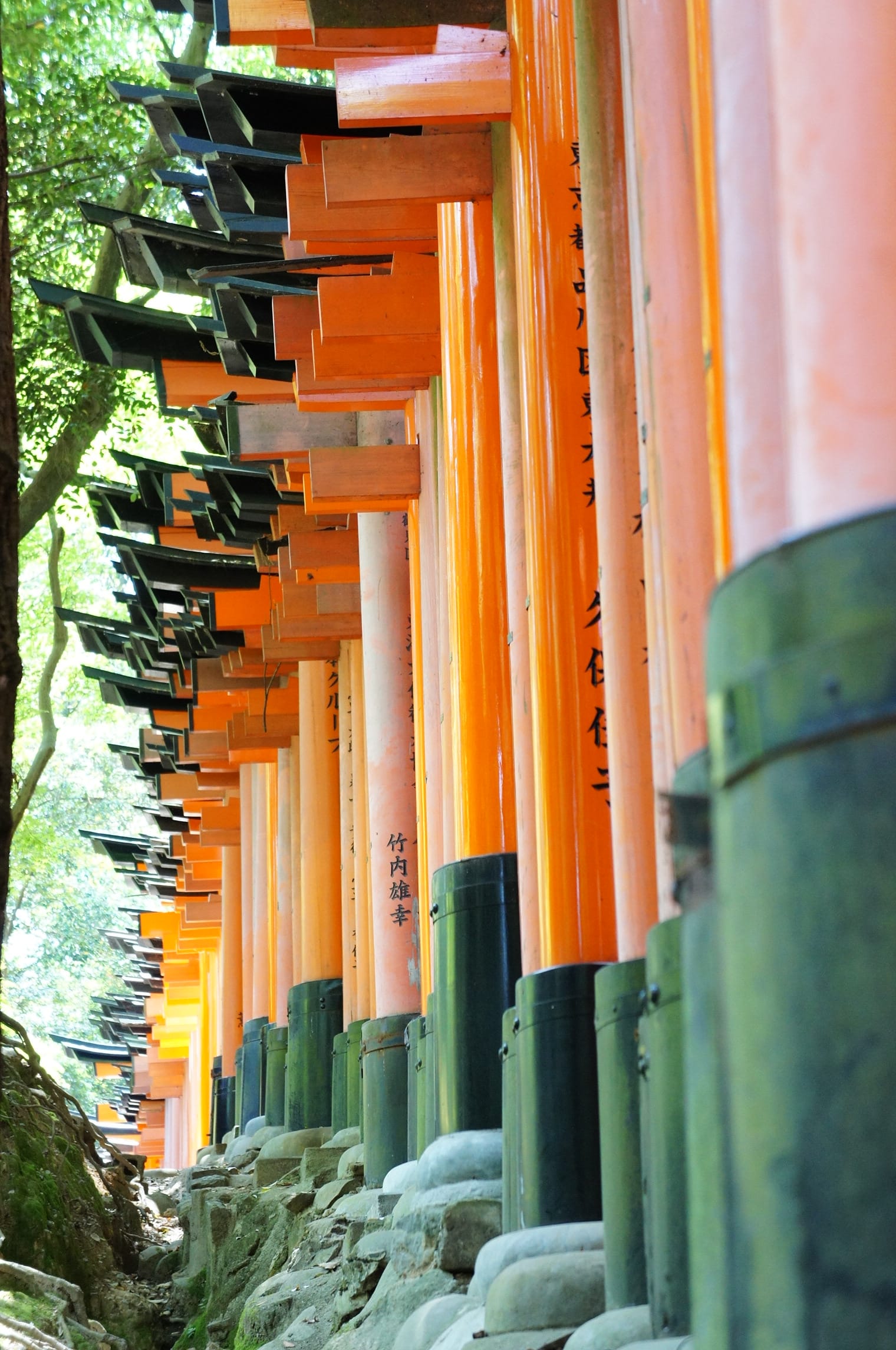 A trip to Kyoto