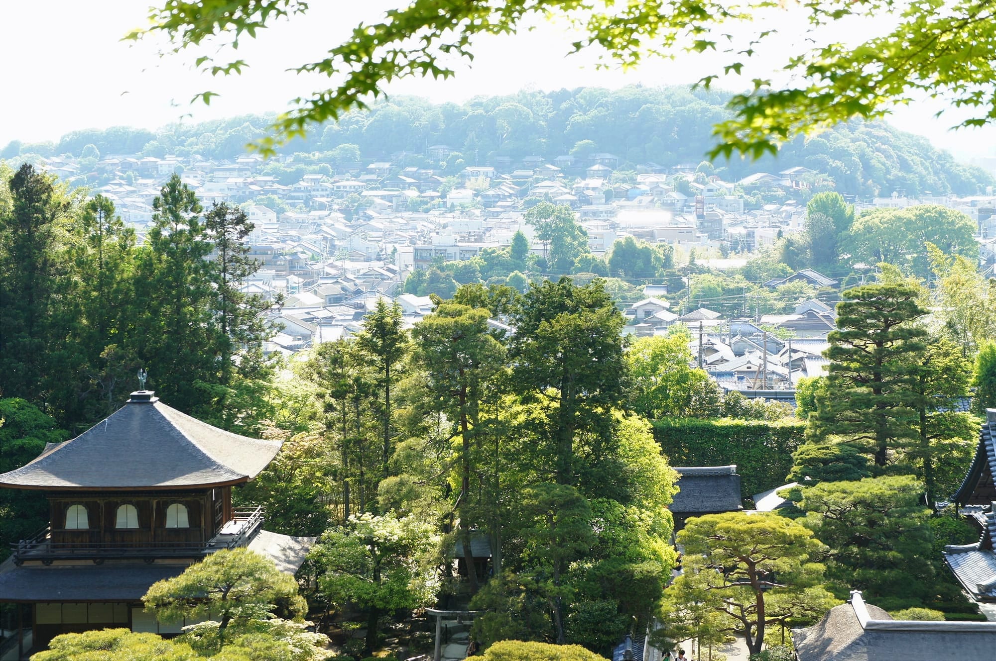 A trip to Kyoto