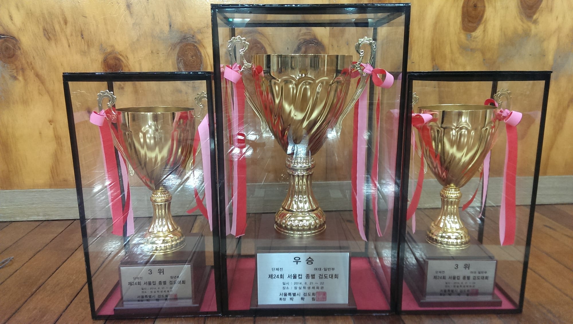 At the Seoul Kumdo Cup 2014